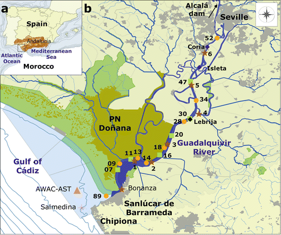 Causality and Species Interactions in a Complex Ecological Network